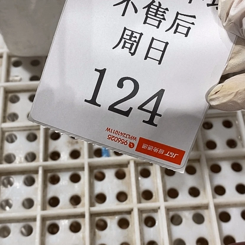 【闪购商品】摆件…****…陶瓷摆件瑕疵特卖