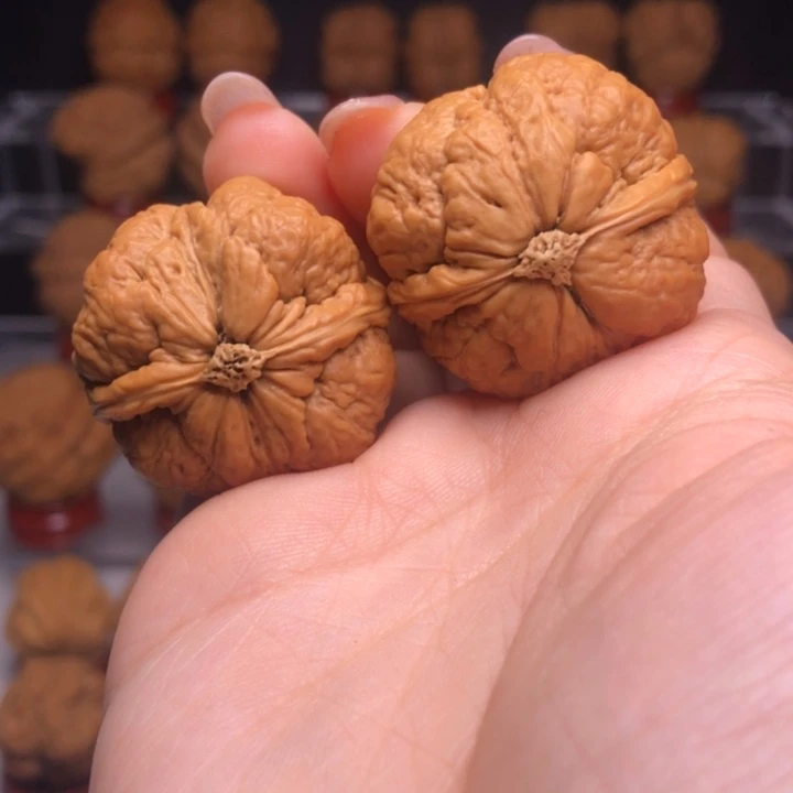 文玩核桃吊坠29金钱底平头蟾