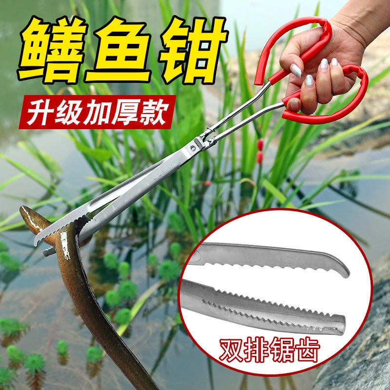 黄鳝夹子超厚加长防滑鳝鱼夹不锈钢抓螃蟹泥鳅钳子赶海长鱼捕捉器