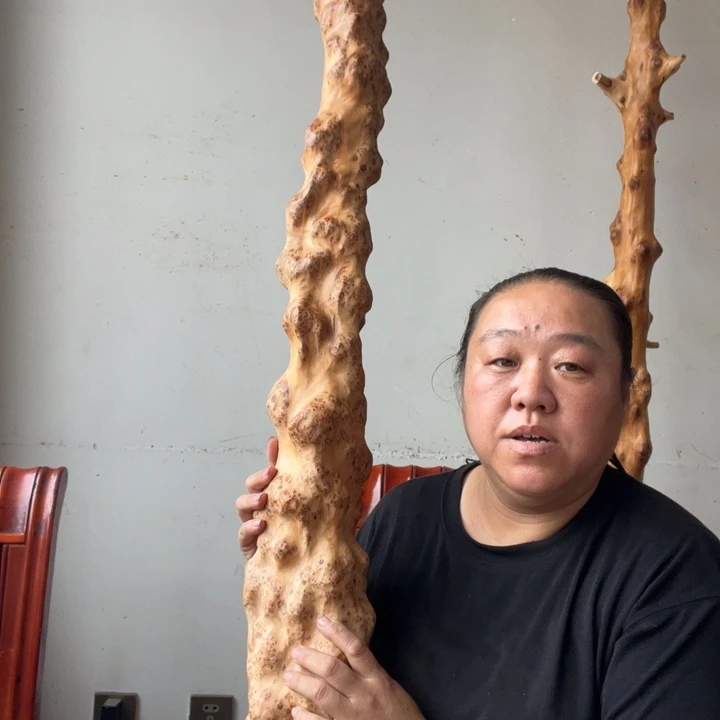 太行崖柏摆件上车