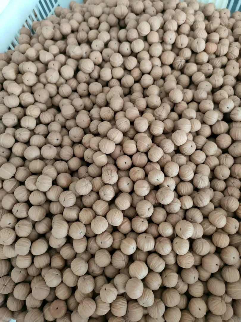 猴头核桃南瓜散籽DIY原材料，原皮原色，高油高密，颗颗精挑全品无暇