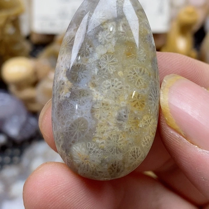 颈饰未镶嵌硅化珊瑚（珊瑚玉）小