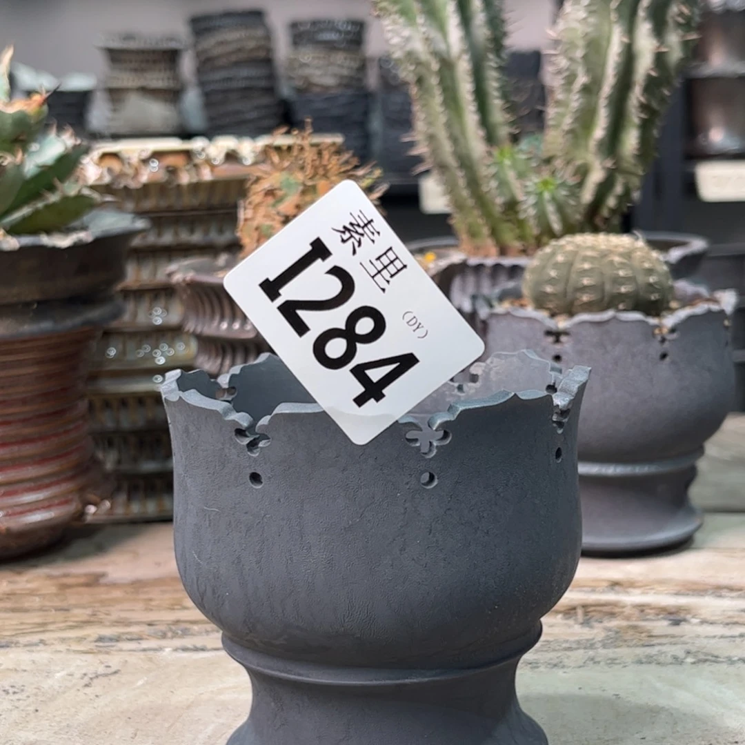 陶内口8.3高8.5景德镇