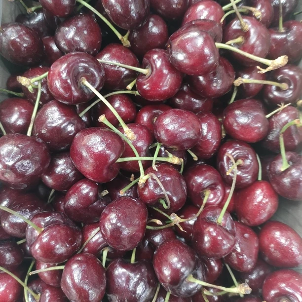 3J车厘子5斤一箱