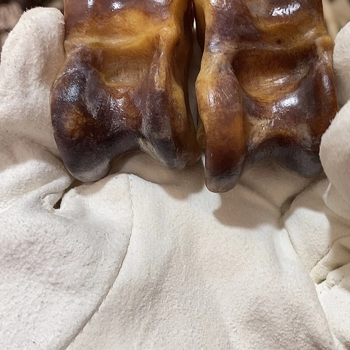 石英石非金属鹿骨鹿骨