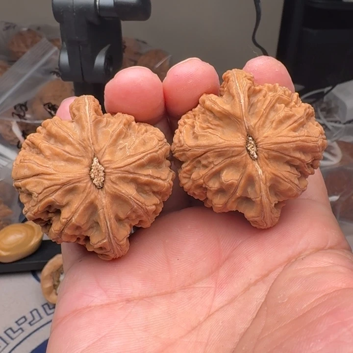 桃核把件山地鸭蛋虎48尺24