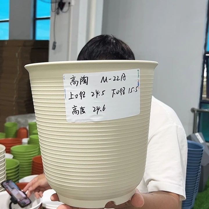 正品高陶口24高24米色无托5只