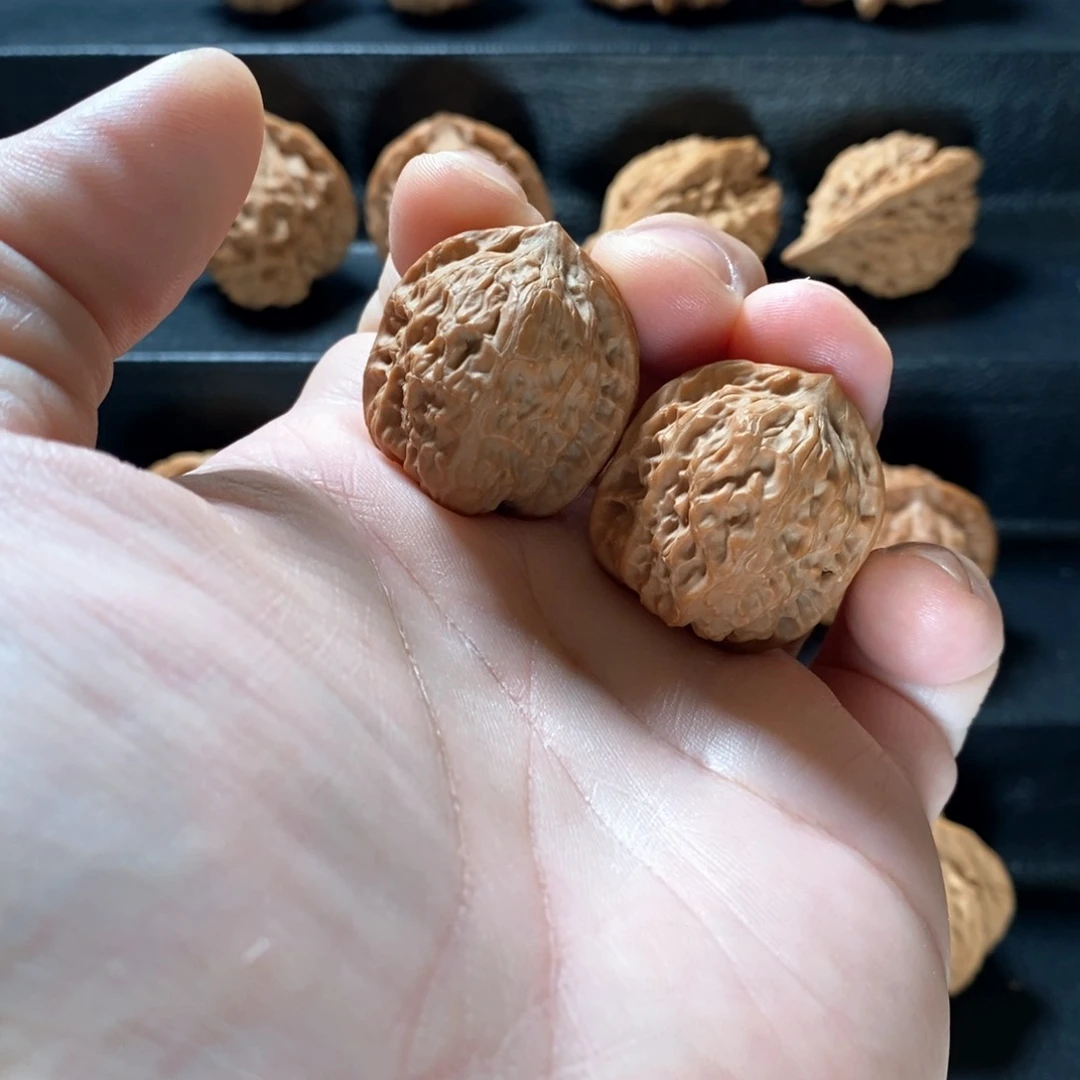 桃核把件大*野生原树无名鸡心29