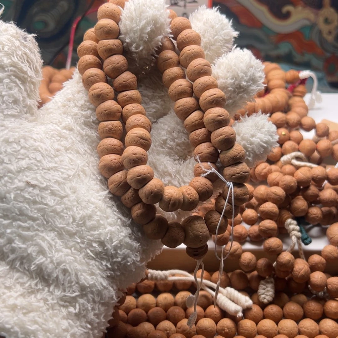 手串凤眼菩提单舱籽厚切大肠13