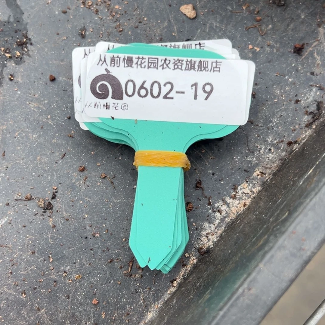 欢**2从前慢多肉精选编号0602.19抵券