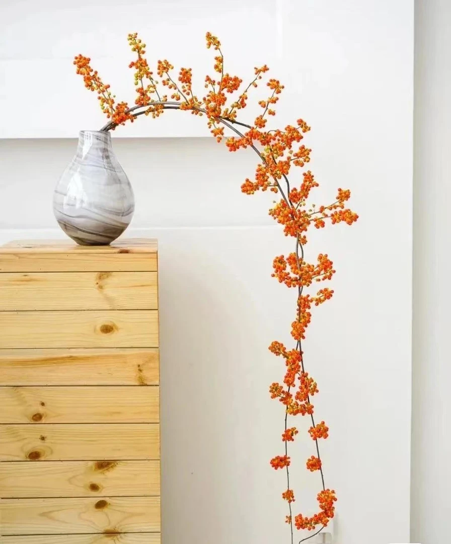 【日本进口南蛇藤】花中贵富 国风意境感高级花材