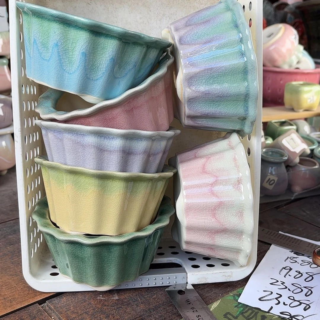 量货/口10高6深浅搭配发4