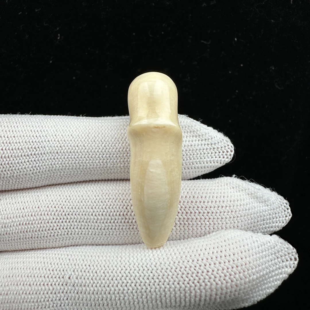 B1306天然猛犸牙 牙尖39.6mm支持鉴定 假一罚四