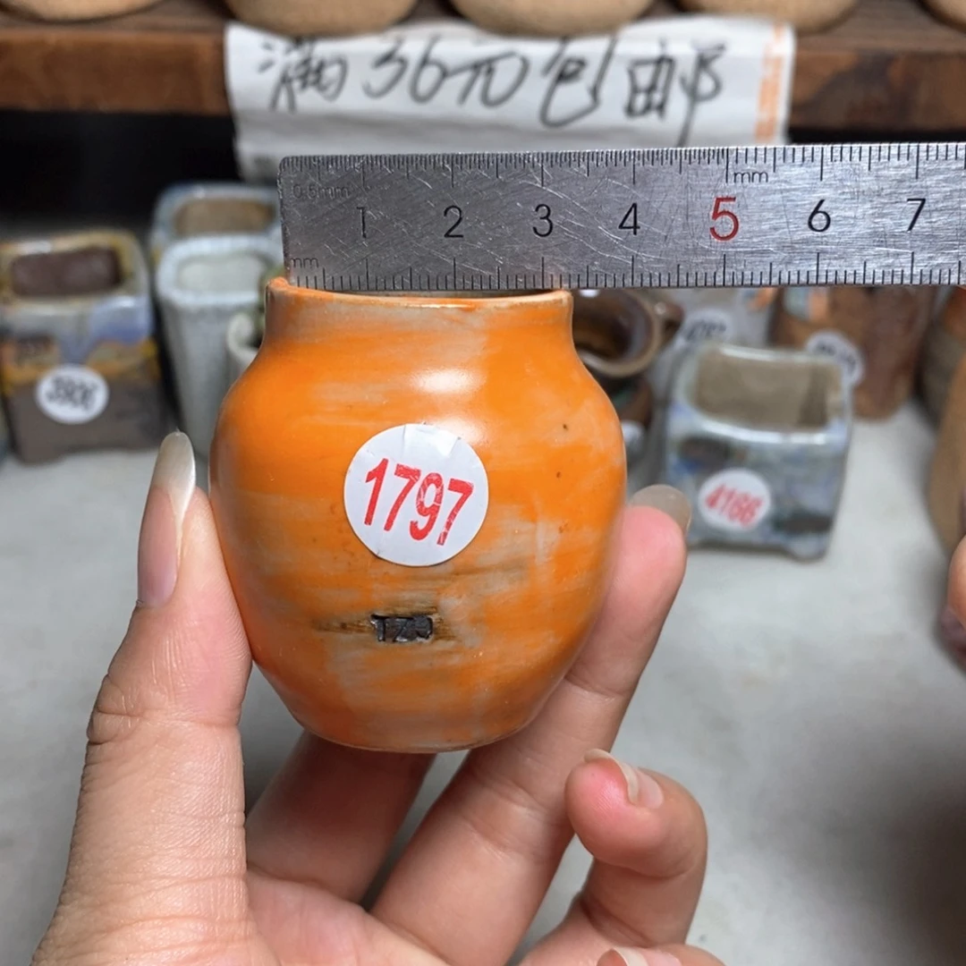 拍5送一个小礼物