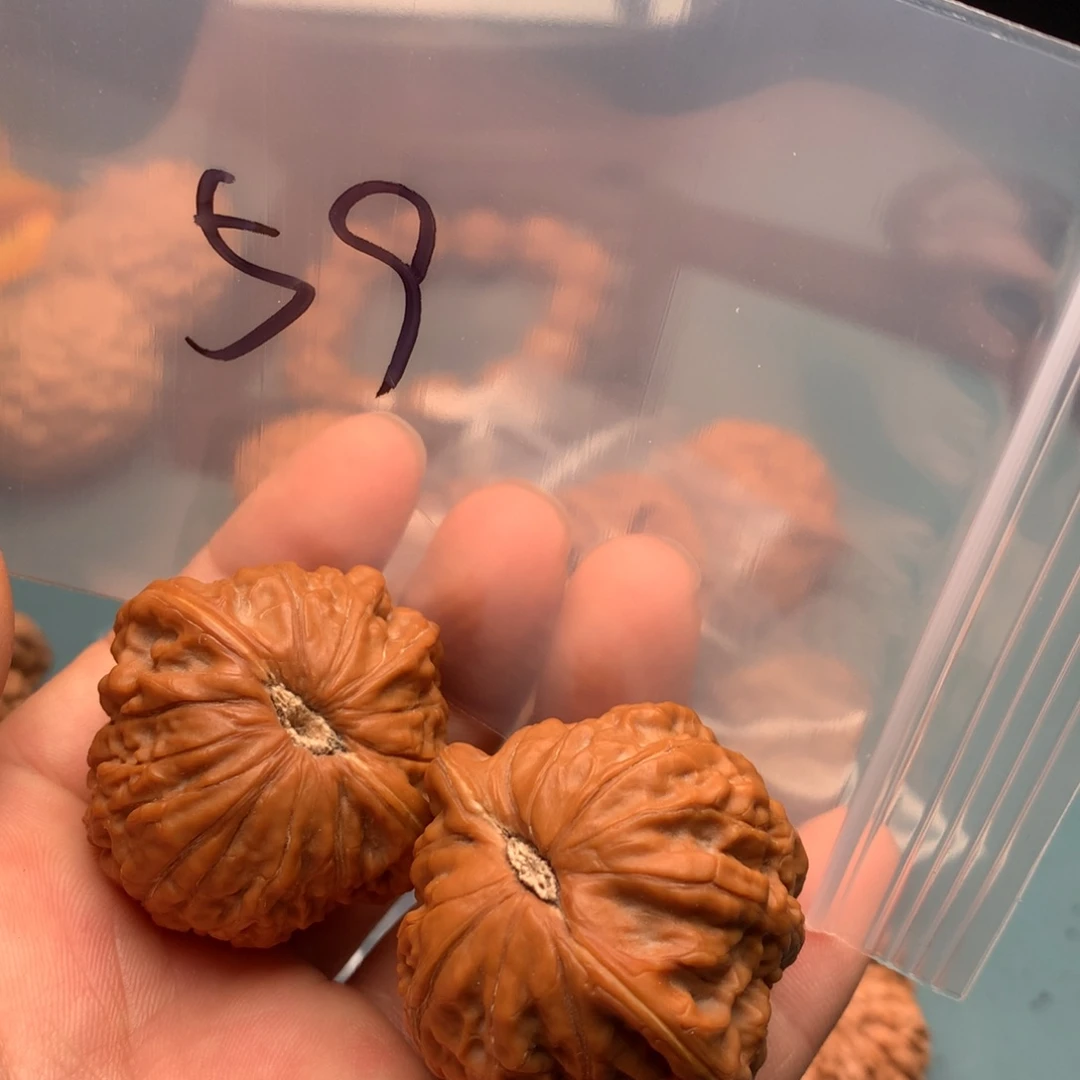 文玩核桃把件?****铁锤59