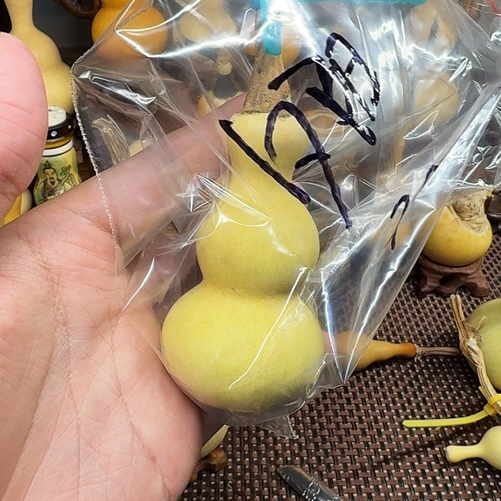 夕***阳啊啊啊啊啊啊啊啊啊啊