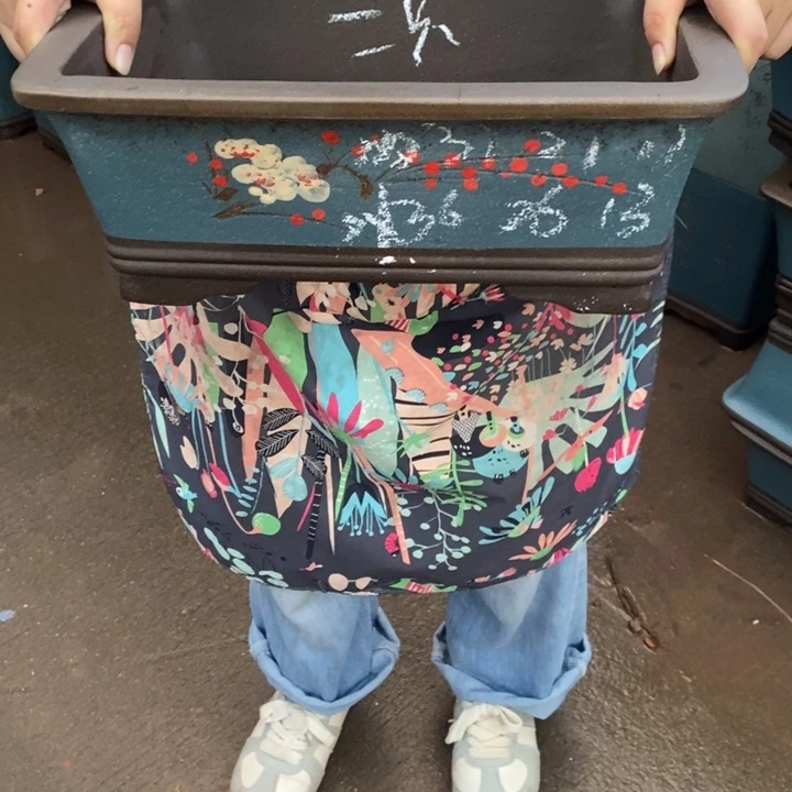 紫砂花盆只顾看手机的日子