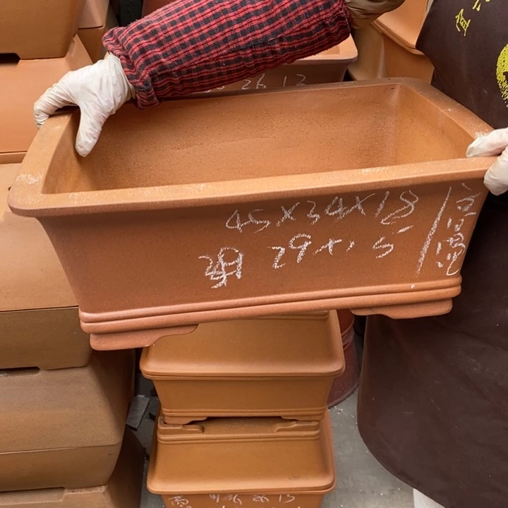 紫砂花盆只顾看电视