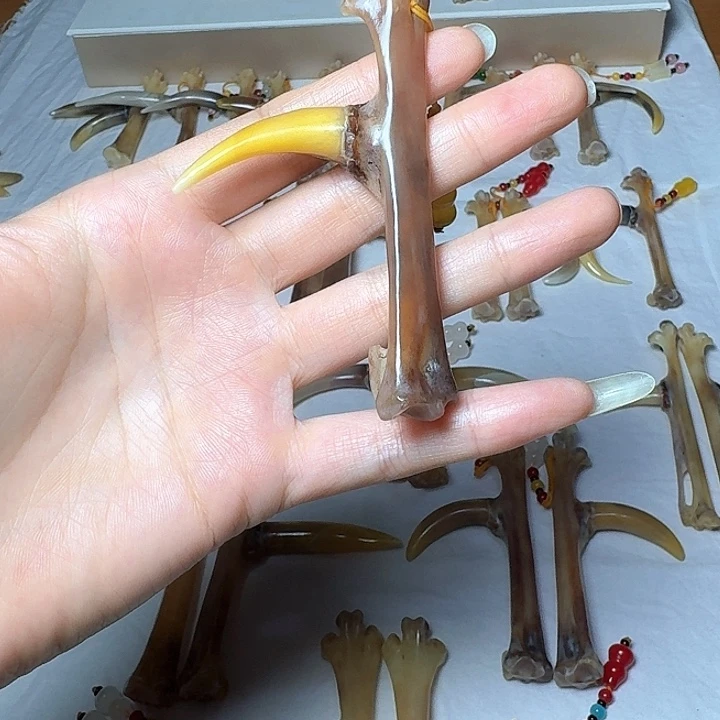 智***空鸡骨（鸡脚）手串/手链鸡爪骨单只