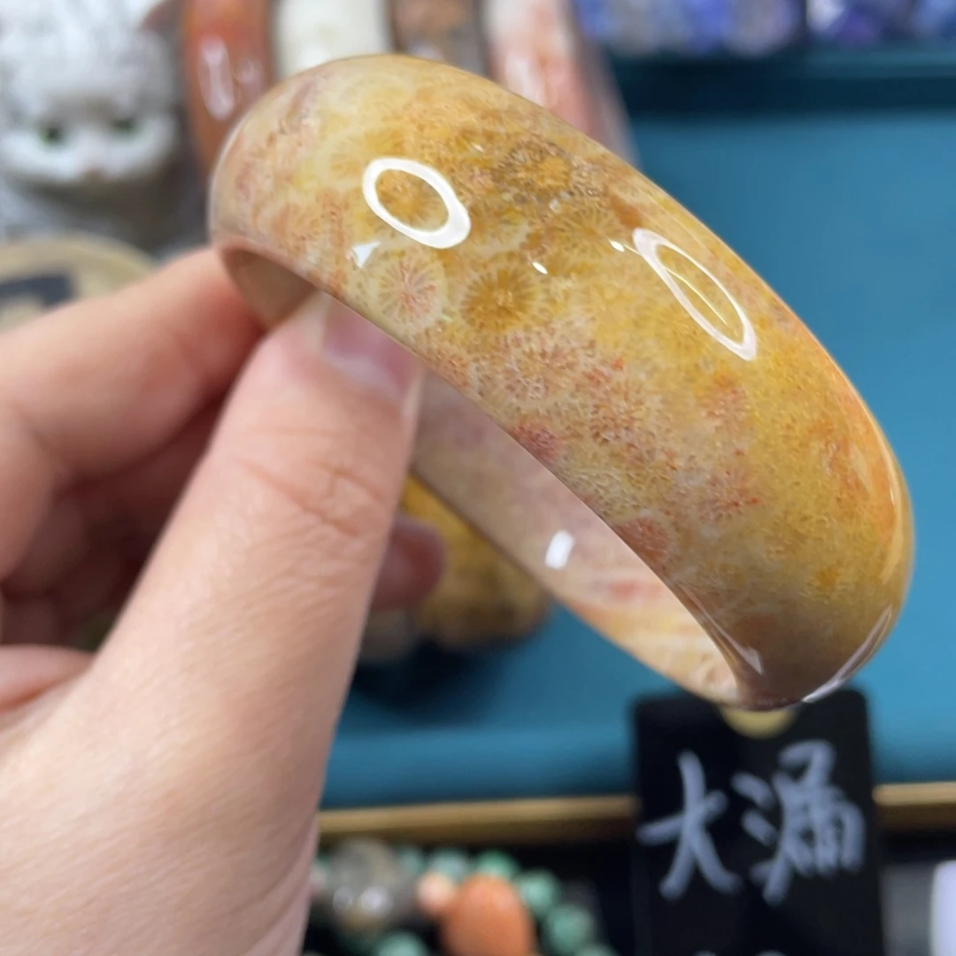 未镶嵌手镯硅化玉