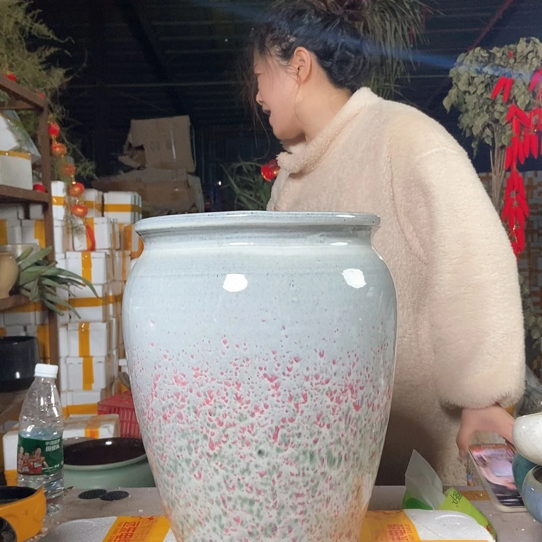 红陶花盆里栽松了一