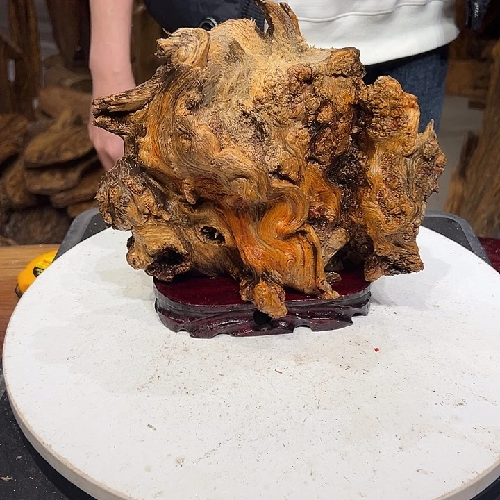 松木（琥珀木）朱****上