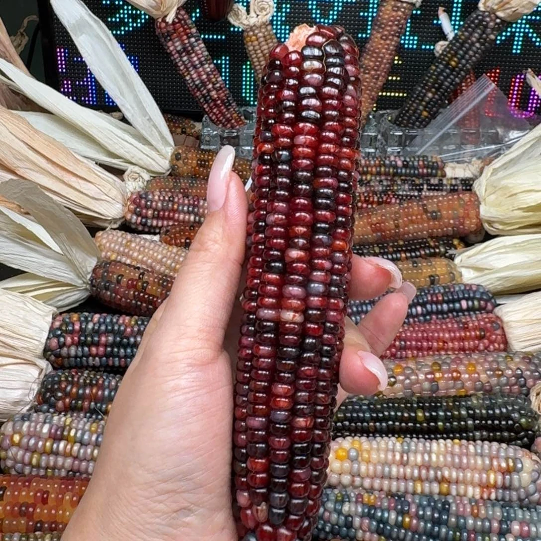 柏香籽/百香籽吊坠小**?