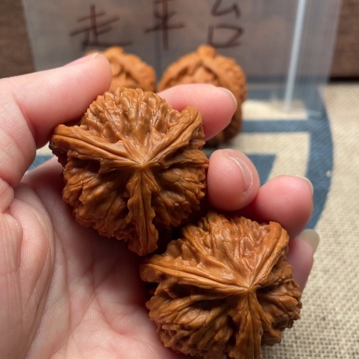 喜***扛核桃白狮子38核桃