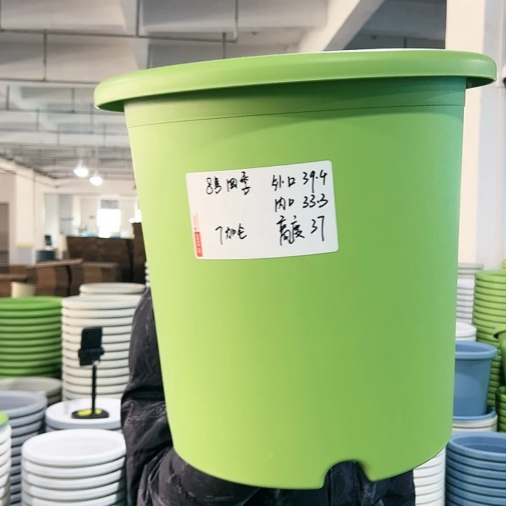 特价8号四季口39.4高37果绿无托3只