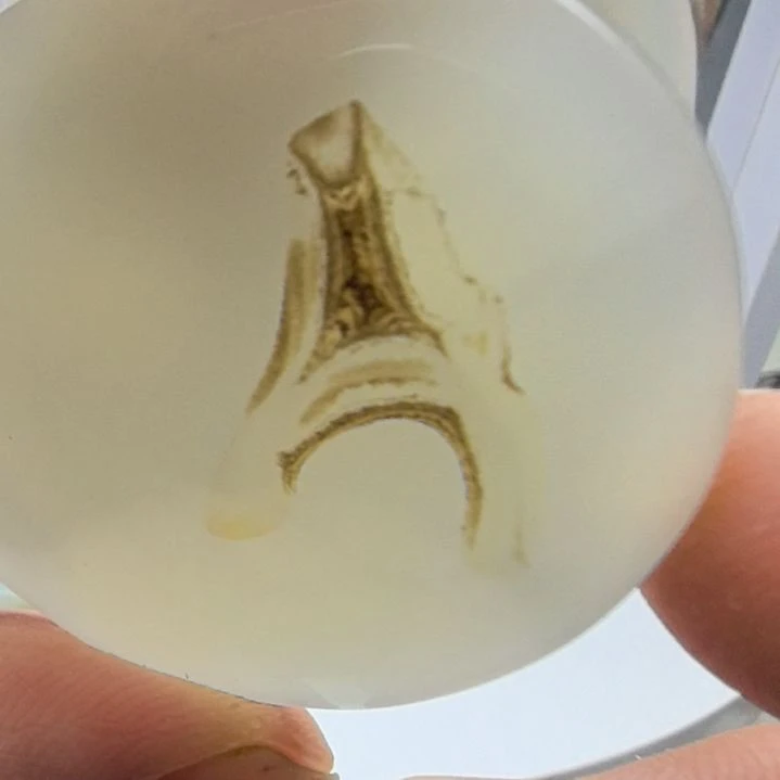 非金属时尚饰品10