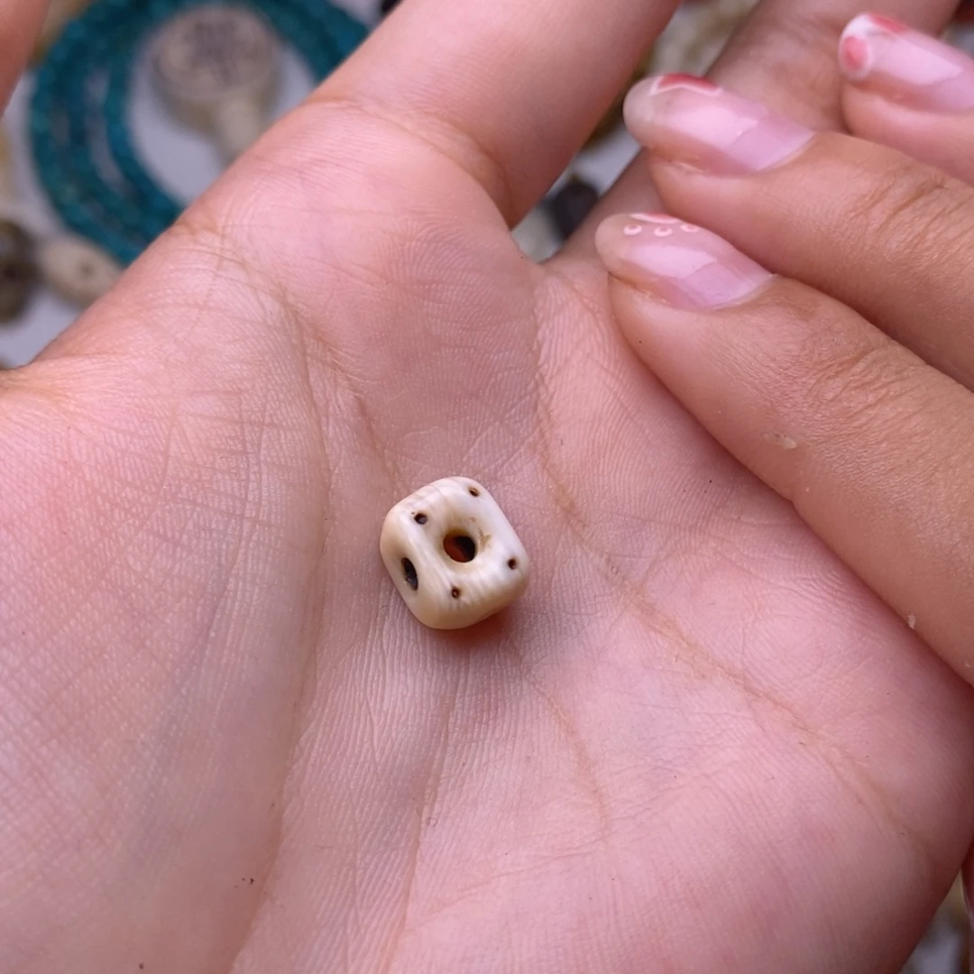 杨***军哈哈哈哈哈哈哈哈哈