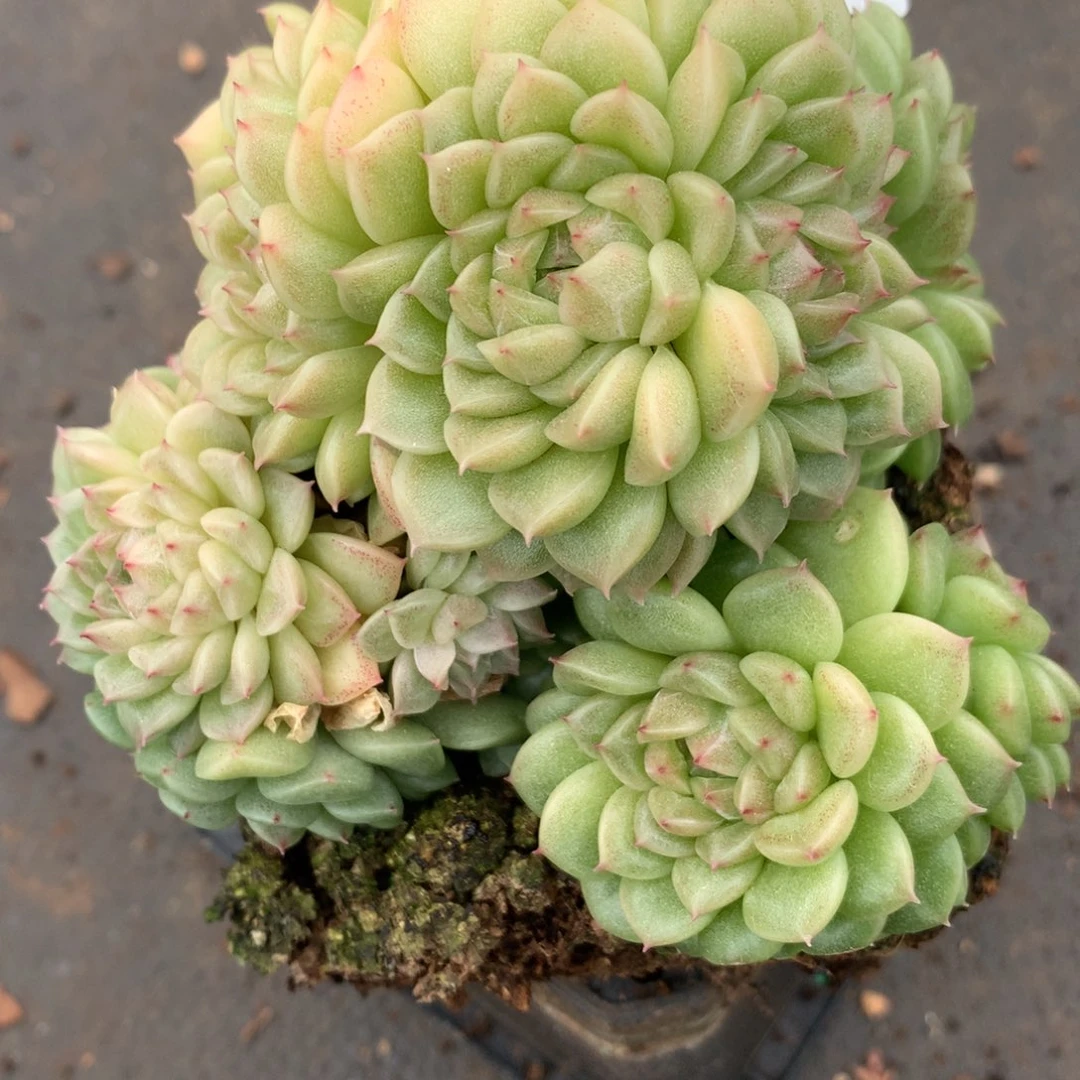 ?****?5820不包整散掉头特价处理