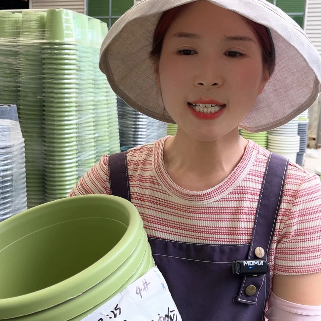 四季盆4#果绿色8个无托