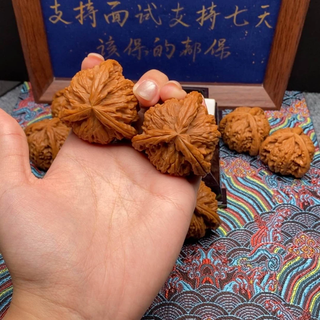 【闪购商品】宏白狮