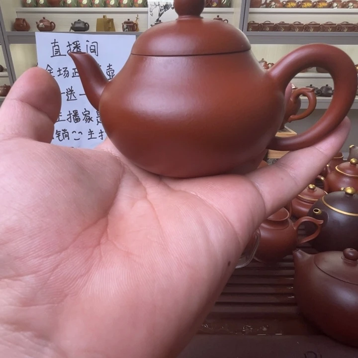 茶壶紫砂哦哦哦哦哦哦哦