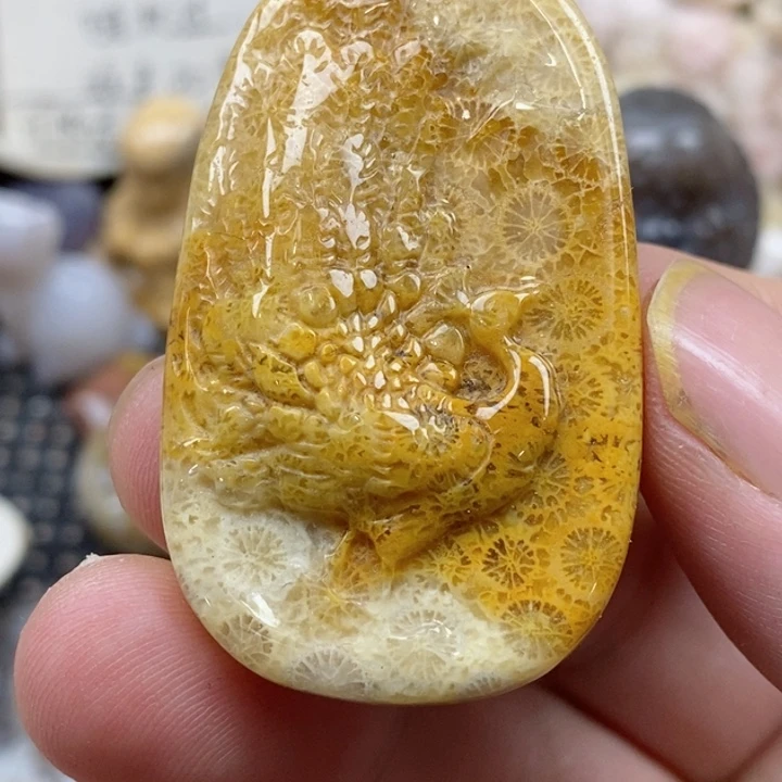 颈饰未镶嵌硅化珊瑚（珊瑚玉）有瑕 小