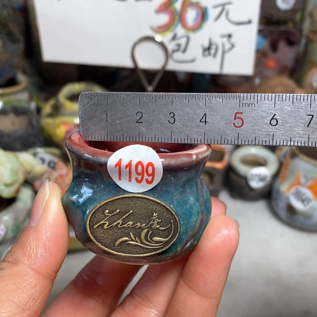 花盆拍5送一个小礼物