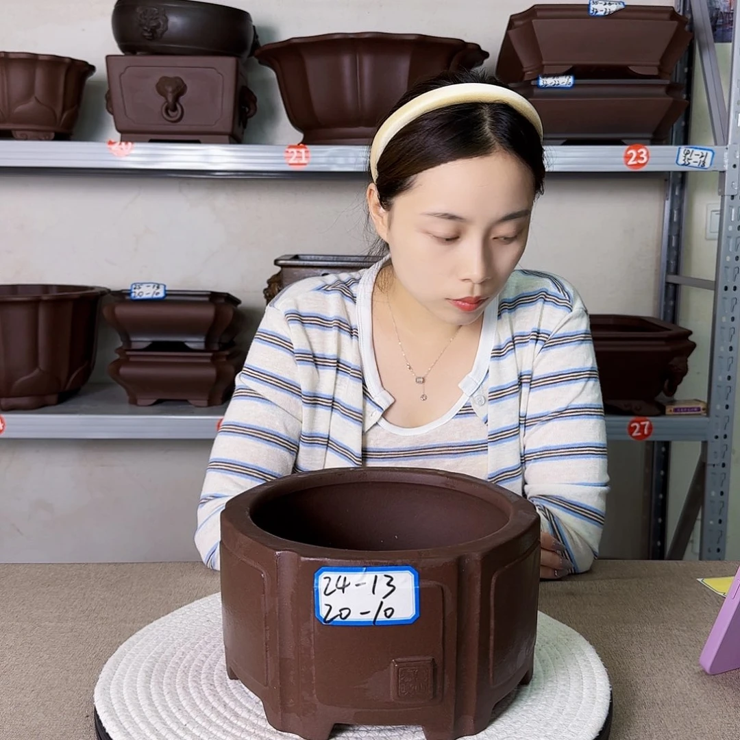 紫砂花盆紫砂花开