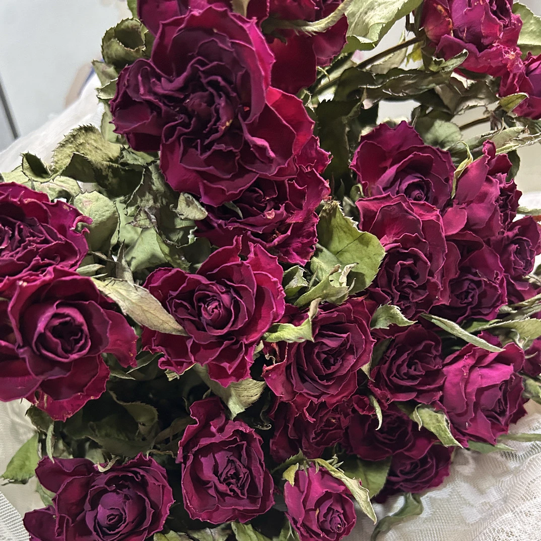 【高盛】单头玫瑰干花鲜花花束包邮适合生日婚庆的鲜花花束