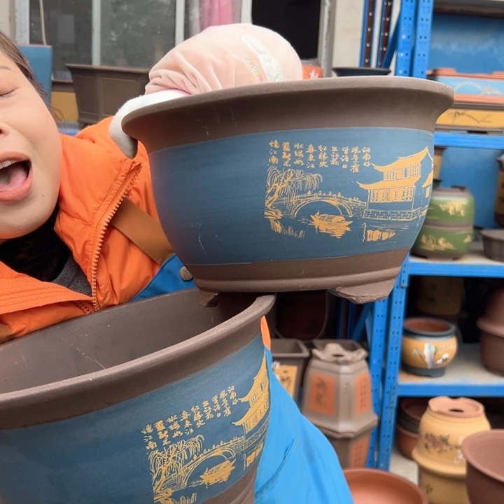 25+25蓝江南水乡三角金钟花盆花盆