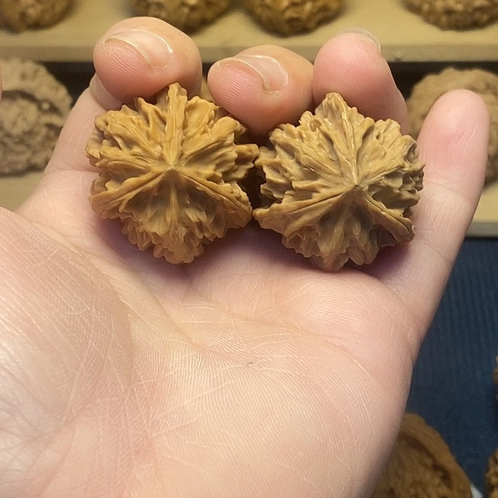 核桃33全品球奔福利核桃