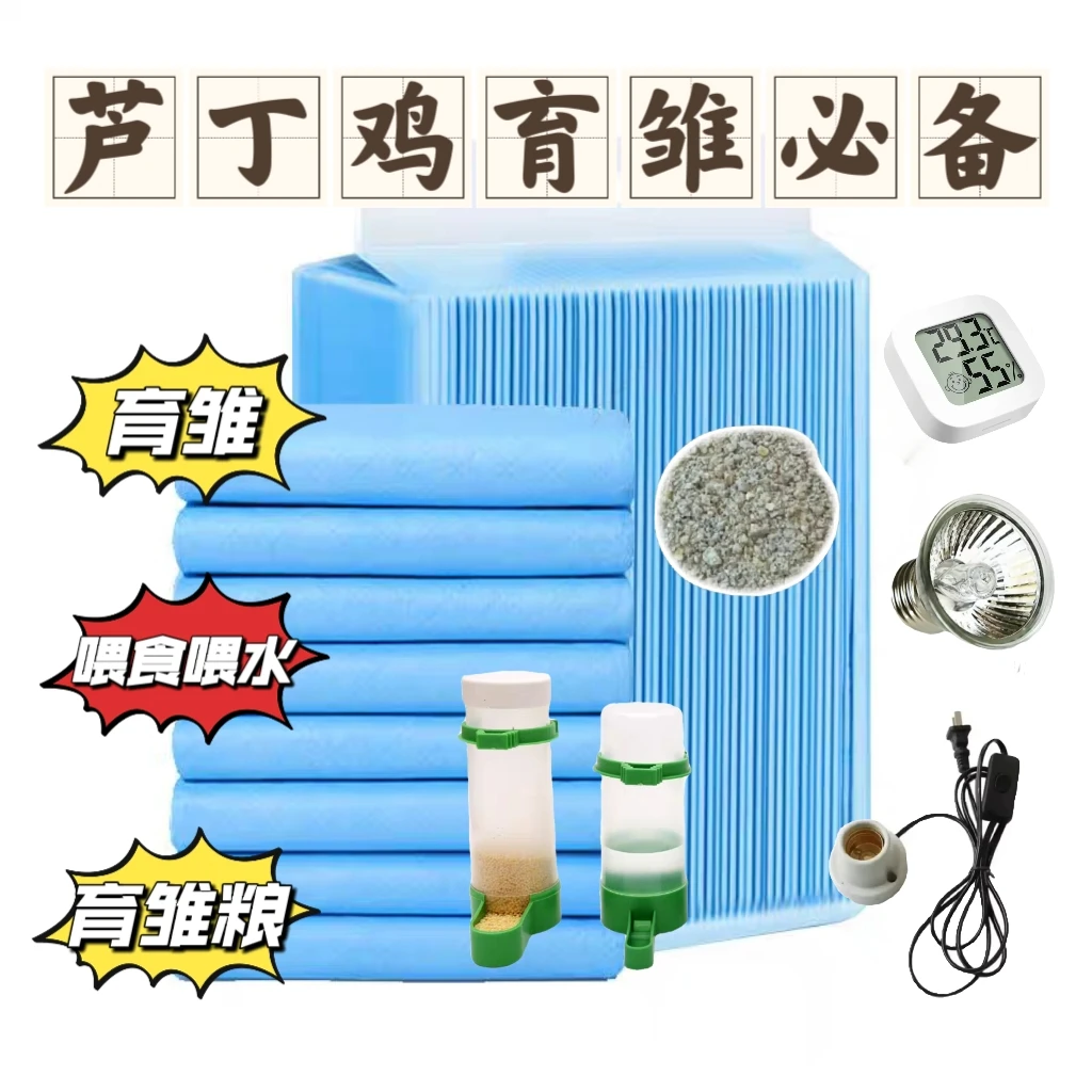 芦丁鸡育雏必备育雏一套芦丁鸡育雏尿垫喂食喂水芦丁鸡育雏料