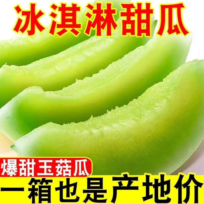 【邮政助农】正宗冰清玉菇甜瓜冰淇淋甜瓜 软糯多汁 海南产地直发