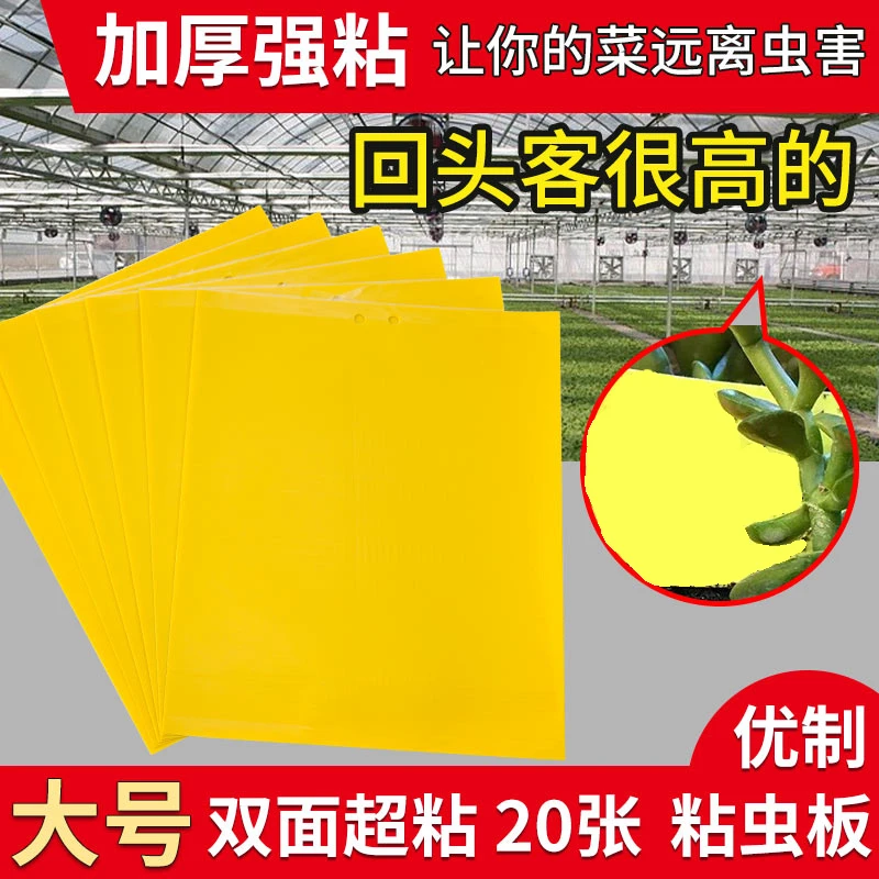 粘虫黄板菜园果园防害虫粘蝇板强力诱蝇球粘虫家用粘苍蝇黄色黄板