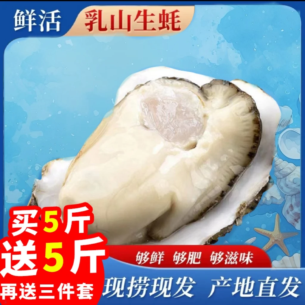 【 买5斤送5斤】正宗乳山生蚝原产地新鲜大生蚝精品海蛎子牡蛎生蚝