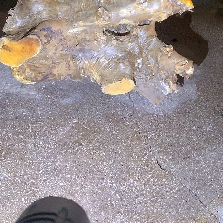 王***哥楠木（金丝楠）手串/手链