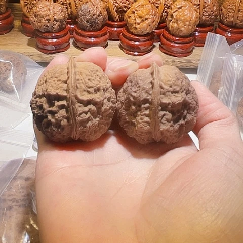 把件文玩核桃金刚佛手带彩磕尖40