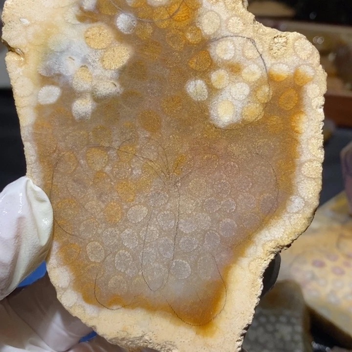 【闪购商品】未镶嵌珊瑚玉硅化玉