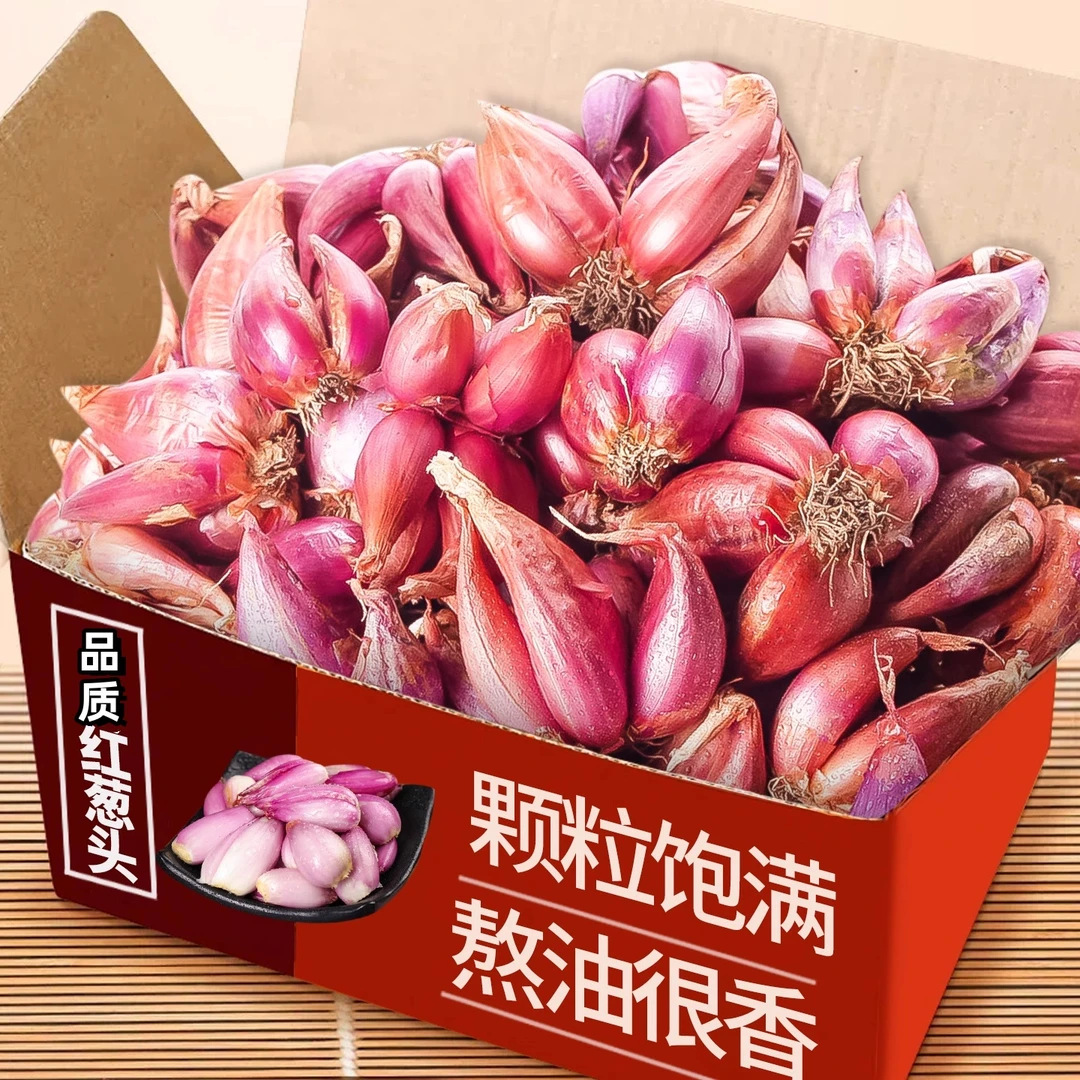 四季小香葱正宗红皮葱头榨油肠粉熬油食用火葱新鲜蔬菜红葱头香葱