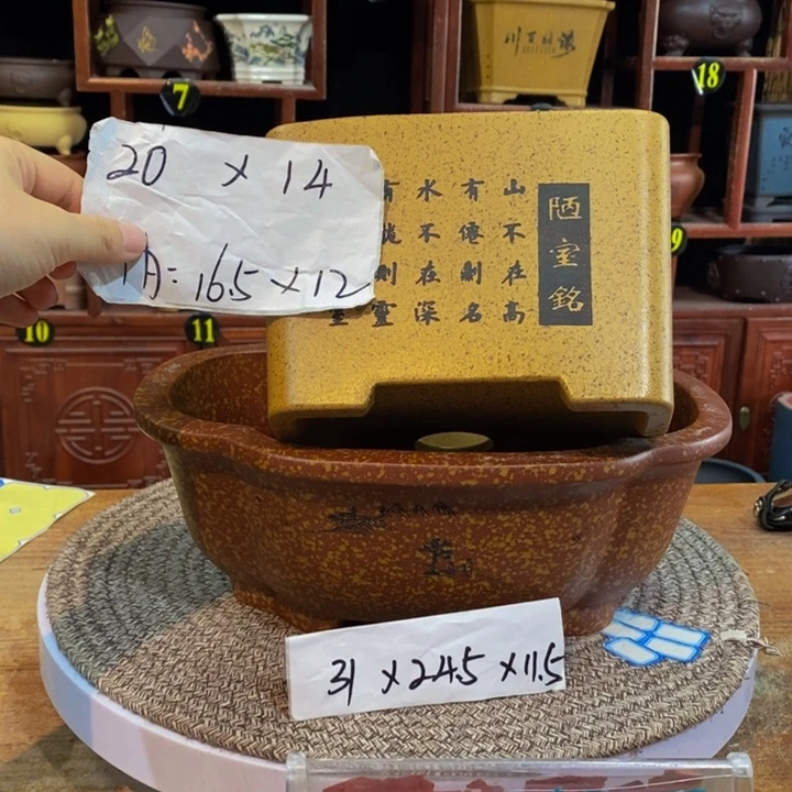 紫砂花盆紫砂花盆